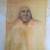 Frank Howell She-Rain Summer Prophecy signed 2 thumbnail