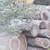 Pine logs ,13ft long free 2 thumbnail