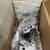 Powerstroke CP4 to DCR conversion kit - S&S Fuel Injection Pump 4 thumbnail