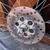Rare Titanium 26” Wheel Set Hope Crono Metro 5 thumbnail