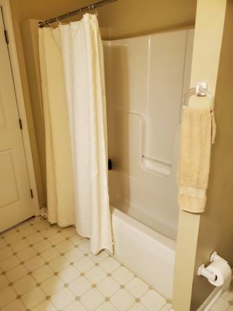 $890 / 1 habitación - 250 pies² - Unidad de 1 dormitorio en una hermosa casa rodeada de bosques (Black Mountain)63179809920387124