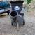 Patriot 10 hp Wood Chipper Shredder, Gas Briggs Engine CSV-3100B 2 thumbnail