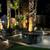Ramirez Landscape & maintenance /Bobcat/dump trailers/pool cleaning 12 thumbnail