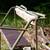 Tree Stand 6 thumbnail