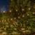 Garden Room Atwater Village $1525 4 thumbnail