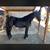Friesian cargada 1 thumbnail