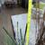 Glass Cylinder Vases with Fake Grass, Bamboo, Dried Sticks, Rocks 8 thumbnail