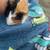 Guinea Pig 1 thumbnail