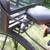 Fuji Traverse 1.3 with rear Thule basket 13 thumbnail