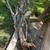 Yard clean ups sprinkler system repair low price 7 thumbnail