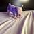 French bulldogs 5 thumbnail