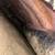 Insulation Services 13 thumbnail