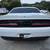 2019 Dodge Challenger - Financing Available! 5 thumbnail