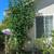 Fruit trees all kinds and sizes landscape bushes plants 13 thumbnail
