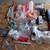 Brewing equipment 15 thumbnail