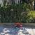 LANDSCAPING , Tree cutting,POWER WASH AND and GUTTER CLEANING 2 thumbnail