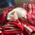 Sweet kittens 5 thumbnail