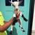 Nigerian Dwarf Goats 12 thumbnail