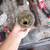 🚽 Plumbing  OC 714 955-7042 🛁 Plumber Lakewood 562 712-1445 21 thumbnail