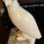 Carved white alabaster falcon bird statue in stone edge 5 thumbnail