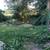 Yard clean ups, trimmings,tree removals,stumpgrinding,sprinklersetc 23 thumbnail