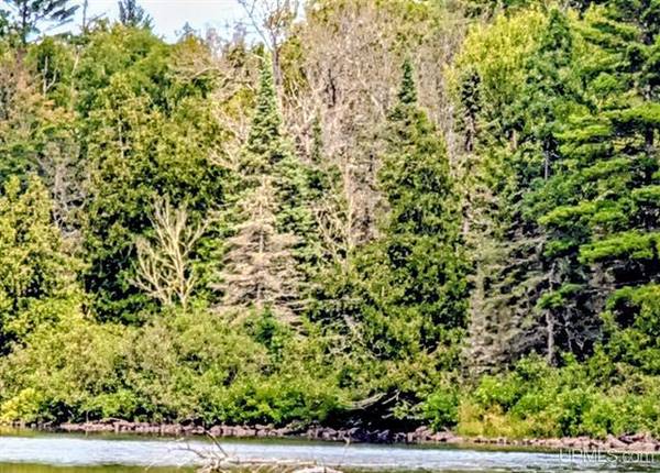 $80,000 33 Acres 1/4 of Net River frontage MLS 50188529 (Amasa)64151609235842121
