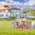 Having Trouble Keeping a Property? Spike Can Help. 1 thumbnail