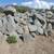 Rip Rap and Landscape Boulders: 1/4 ton - 1/2 ton Boulders 1 thumbnail