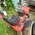 Two lawnmowers 7 thumbnail
