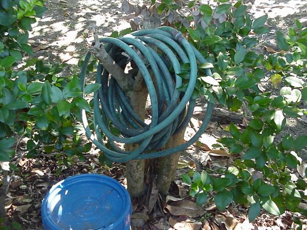 GARDEN HOSE 1