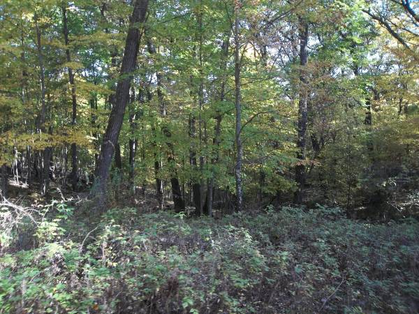 $589 / 3br - 1550ft2 - 41 Acres Prime Hunting land w/Home & 2 Garages (Hancock)