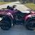Honda Four Wheeler 3 thumbnail