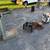 Lots of tools, household, skis, snowshoes, crossbows, compound bow. 13 thumbnail