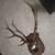 Vintage Sitka 9 point 2 thumbnail