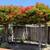 Benicia 3 bedroom/2 bath home 23 thumbnail