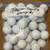 50 TITLEIST PRO-V1X WHITE USED LIKE NEW GOLF BALLS #1 1 thumbnail