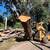 SLABS Live Edge mantles, counter tops, desk, shelves, etc 6 thumbnail