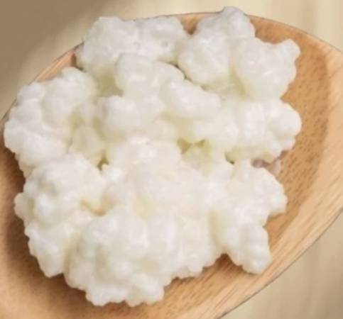 1 TBSP Milk Kefir Grains - Live, Active, Fermented 1