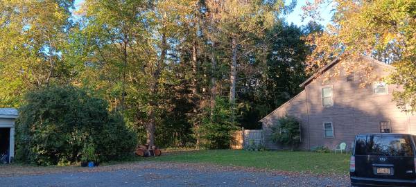 $1,200 / 1br - 800ft2 - Large 1 BR apt. H/HW included (Kinderhook)64035734702465123