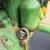John Deere 40 tractor 10 thumbnail