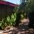 Beautiful room and house, all utils incl Dec 1st avail Male pref 12 thumbnail