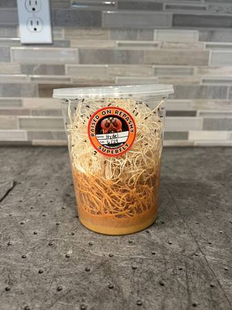Fruit Fly - Cultures - Bulk orders 1