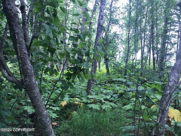 $18,000 Nice mostly level one acre lot (Nikiski/ North Kenai)64163340780033121