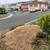 TREE &STUMP GRINDING &STUMP REMOVAL SERVICE 14 thumbnail