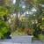 Outdoor Plants - Several New Plants Added 8 thumbnail