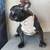 Farm Raised Frenchies Looking for Their New Home 9 thumbnail