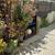 Duplex Opportunity – 2 Units on One Lot in Los Angeles! 15 thumbnail