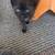 Sweet barn kittens 2 thumbnail