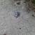 Number 6 Hard grade steel bolts and steel plates. 4 thumbnail
