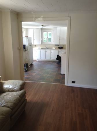 $1,500 / 4br - 105 W Cayuga St - 4 bed - 1 bath $1500/mo (west side)63982835025026124